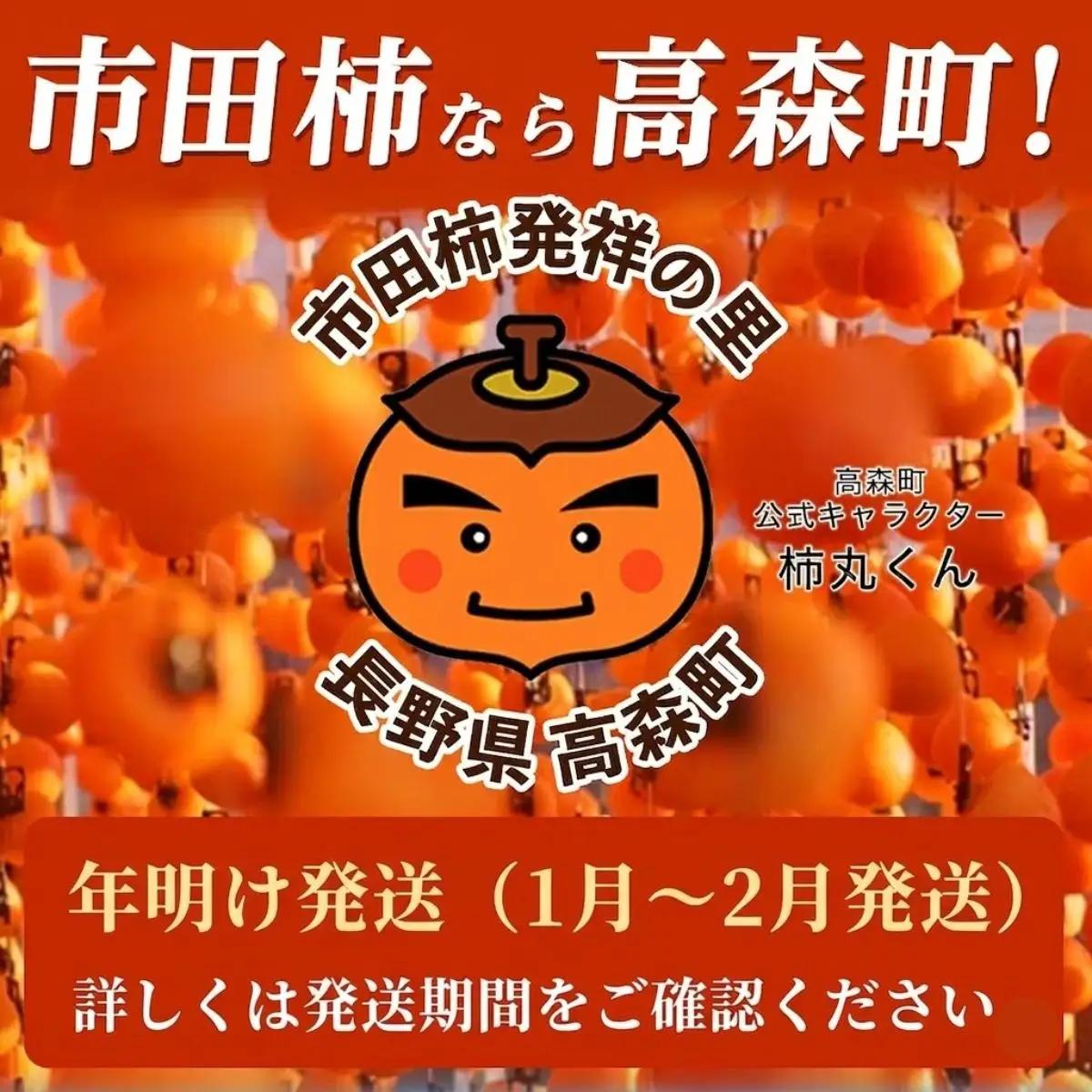 【市田柿専門店 金の柿】黒箱「特秀品」2Lサイズ20個入り＜2027年1月発送開始＞