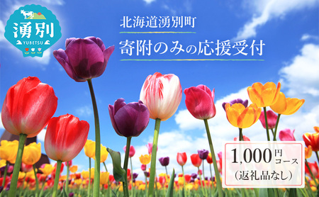 返礼品なし 応援受付 北海道湧別町 寄附のみ応援【1,000円】