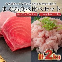 まぐろ 赤身 ネギトロ 食べ比べ セット 小分け 冷凍 マグロマグロマグロマグロネギトロネギトロネギトロネギトロネギトロ TY030