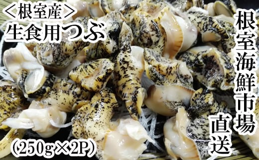 G-14040 【北海道根室産】生食用灯台つぶ(ボイル済)250g×2P(計500g)