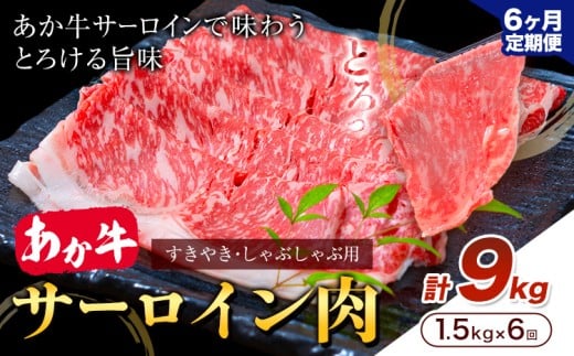 【6ヶ月定期便】あか牛 すきやき・しゃぶしゃぶ用 サーロイン肉 合計9kg 1回 500g×3パック 合同会社たべたせいか《お申し込みの翌月から出荷》赤牛 牛肉 肉 お肉 すきやき すき焼き しゃぶしゃぶ サーロイン 熊本県産 菊池市 送料無料