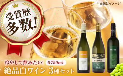～ソムリエが選ぶ～冷やして飲みたい絶品 白ワイン 3本セット 白ワイン 受賞 飲み比べ ワインセット ギフト 三次市/広島三次ワイナリー [APAZ032]