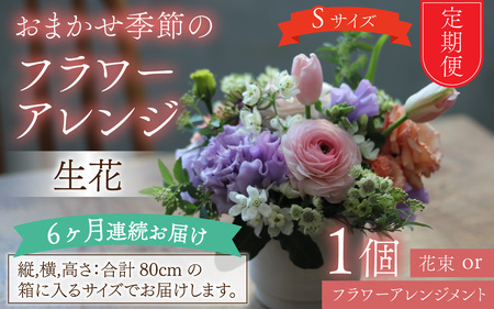 【定期便６回】おまかせ季節のフラワーアレンジ（生花）Ｓサイズ ×６ヶ月【母の日申込期日：4/26（日）まで】【母の日発送予定日：～5/11（月）まで】お好み、着日指定可能　[F-036001]