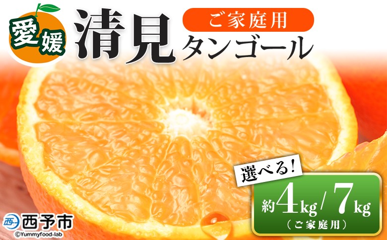 
                  愛媛県西予市産 清見タンゴール ご家庭用 約4kg／7kg　訳あり ワケアリ 果物 フルーツ みかん ミカン 蜜柑 オレンジ きよみ キヨミ 柑橘類 食べて応援 旬 特産品 宇都宮物産 愛媛県 西予市【常温】『2026年3月上旬～5月上旬迄に順次出荷予定』
                