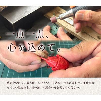 ふるさと納税 笠岡市 革製カブトガニ 幼生 ブローチ 【タックピン:ネイビー】J-14_n |  | 01