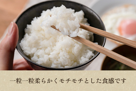 【令和7年産】【精米】加茂産ミルキークイーン「ミルキー米」真空パック 5kg ミルキークイーン 新潟県産ミルキークイーン 米 お米 ミルキークイーン ミルキークイーン ミルキークイーン ミルキークイー