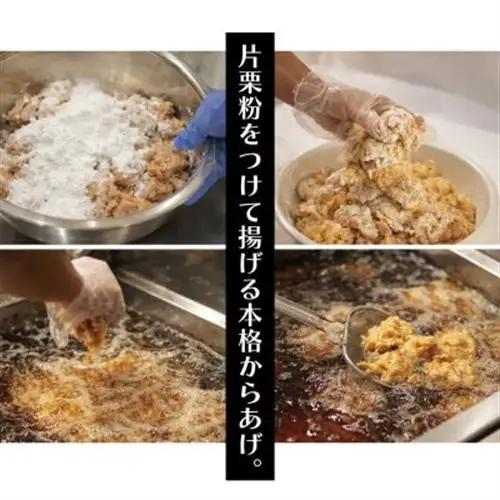 空とぶからあげ(塩にんにく味)　生タイプ1.2kg【配送不可地域：離島】【1742550】