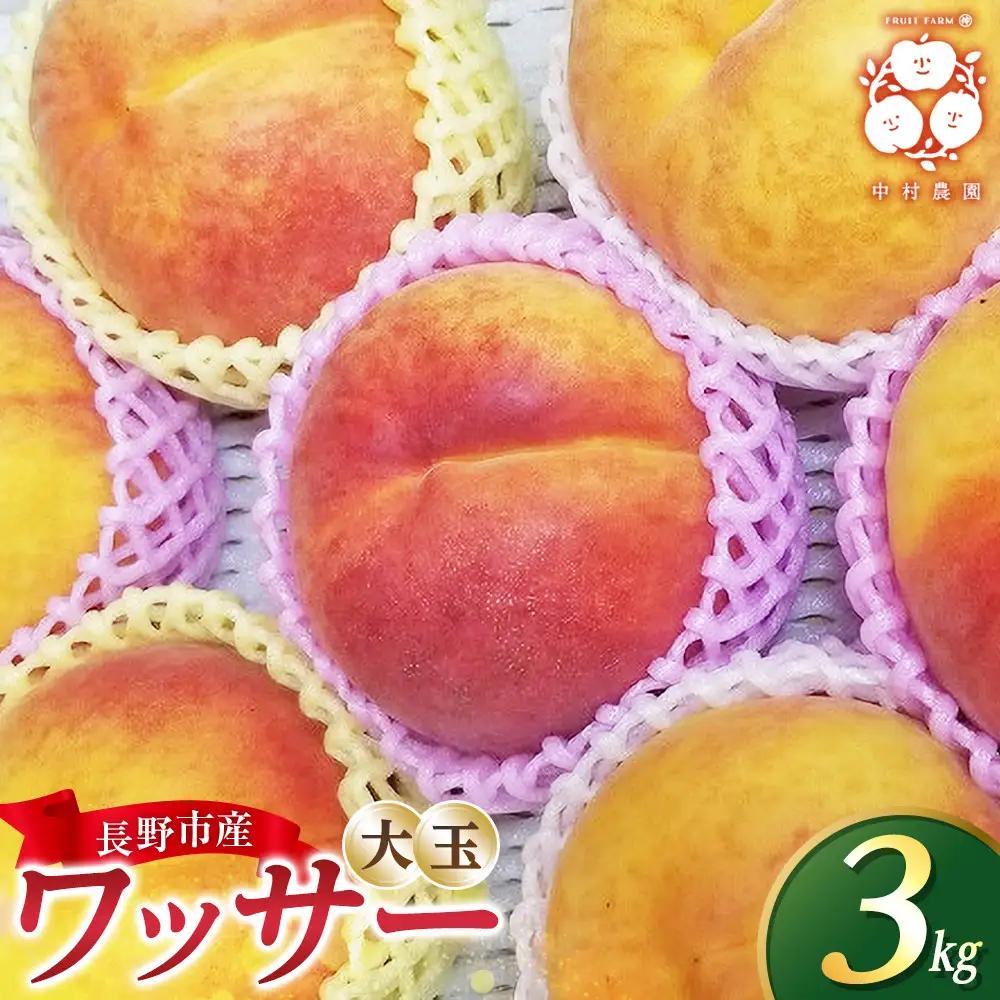 【2027年8月中旬～順次発送 先行予約】フルーツファーム中村農園 ワッサー 3kg | ワッサー 桃 ネクタリン 大玉