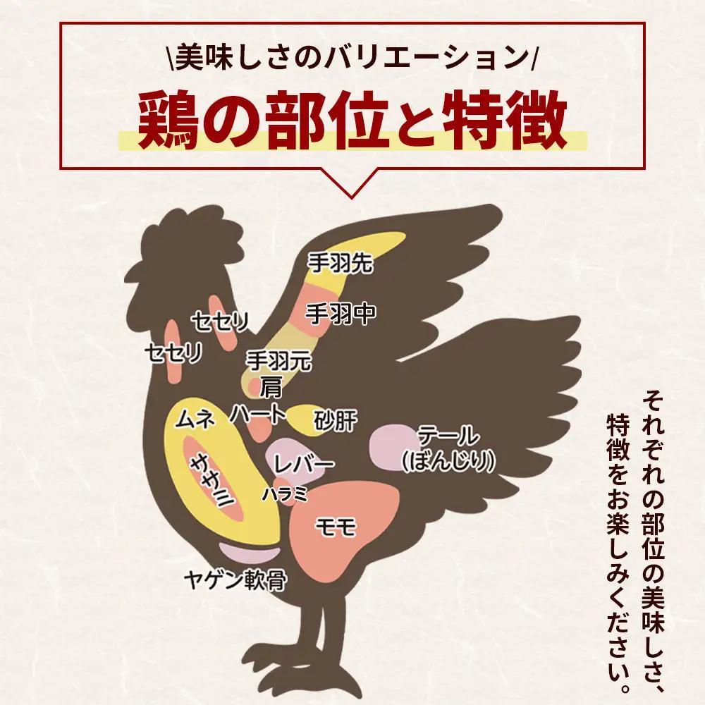 【7日程度で発送】土佐はちきん地鶏 もも肉 500g スピード 地鶏 もも肉 ad-0002