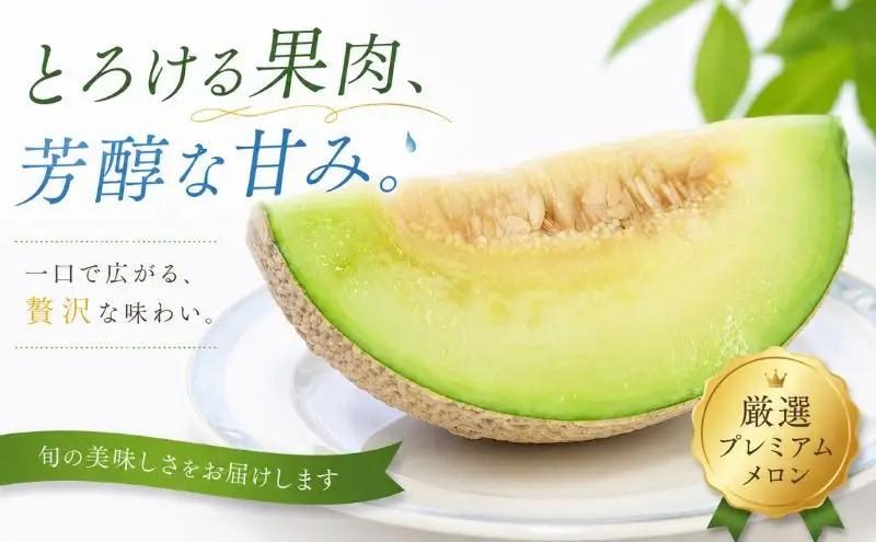高級マスクメロン　【千葉アクアメロン】　１玉　3L～4Lサイズ　千葉県産　化粧箱入り　生産者直送
