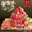 艶さし！佐賀牛切り落とし　1kg(500g×2p）