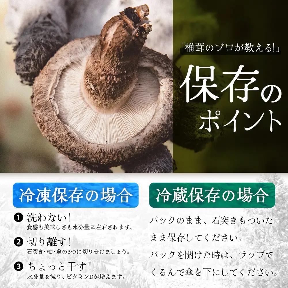 【先行予約】宮崎県諸塚村産 原木生椎茸 約650g［2026年9月～11月ごろにお届け］冷蔵｜しいたけ 生シイタケ きのこ キノコ 原木しいたけ 産地直送 秋の味覚 もろっこはうす MO-30