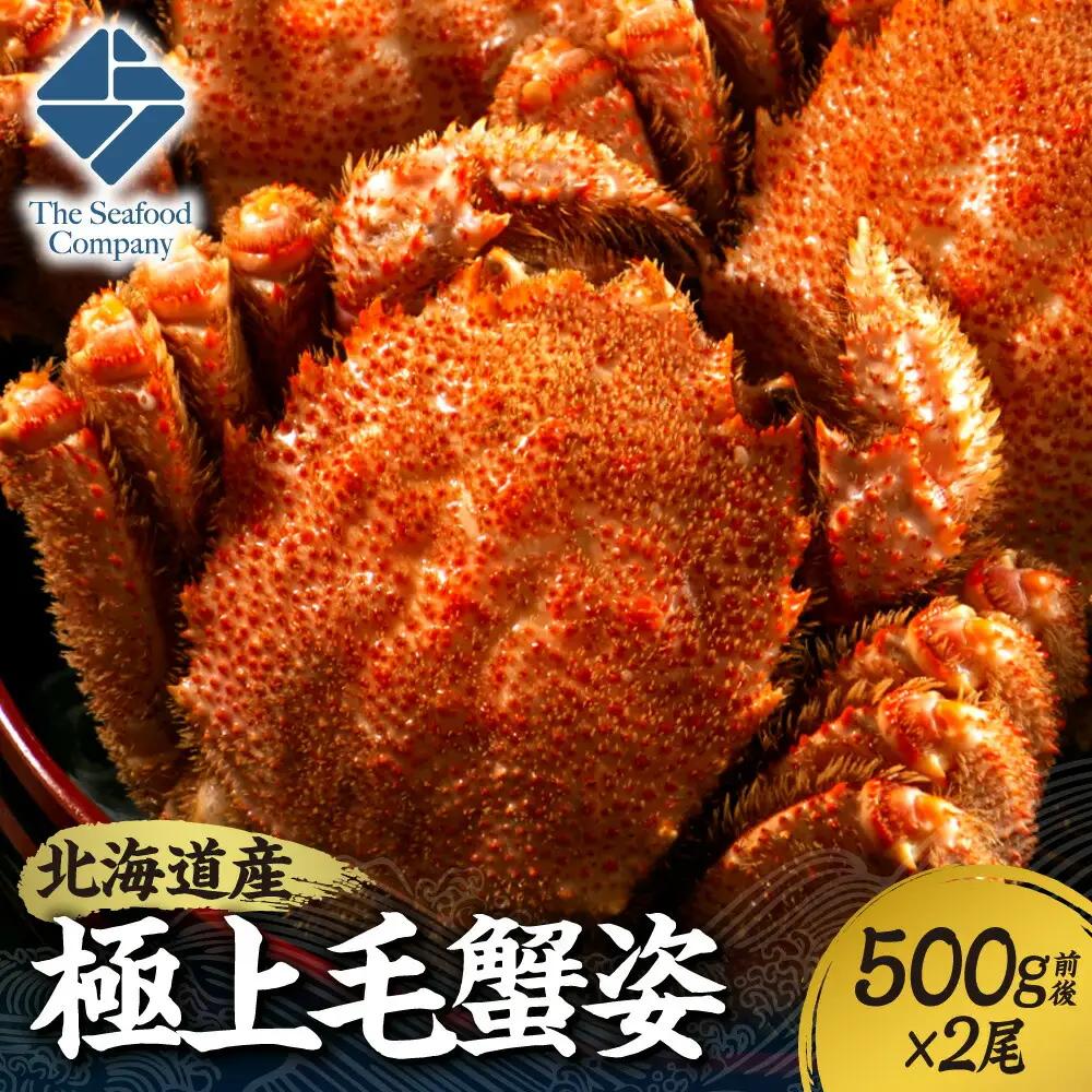 かに【北海道札幌市】極上 毛蟹姿 500g×2尾 カニ 蟹