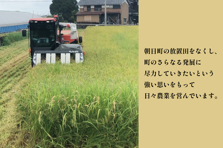 米 令和8年産 コシヒカリ 精米 5kg 3回 定期便