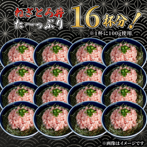ねぎとろ 1.6kg (100g×16パック) 天然マグロ 冷凍 小分け 個包装 便利 簡単 ネギトロ ねぎとろ丼 ネギトロ丼 マグロ まぐろ 鮪 たたき 新鮮 海鮮丼 丼 寿司 おかず 惣菜 おつま