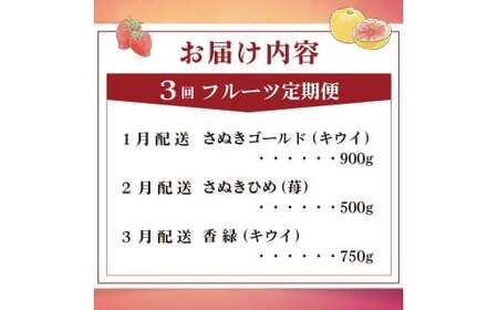 旬のフルーツ 定期便 3回 Bコース フルーツ 定期便