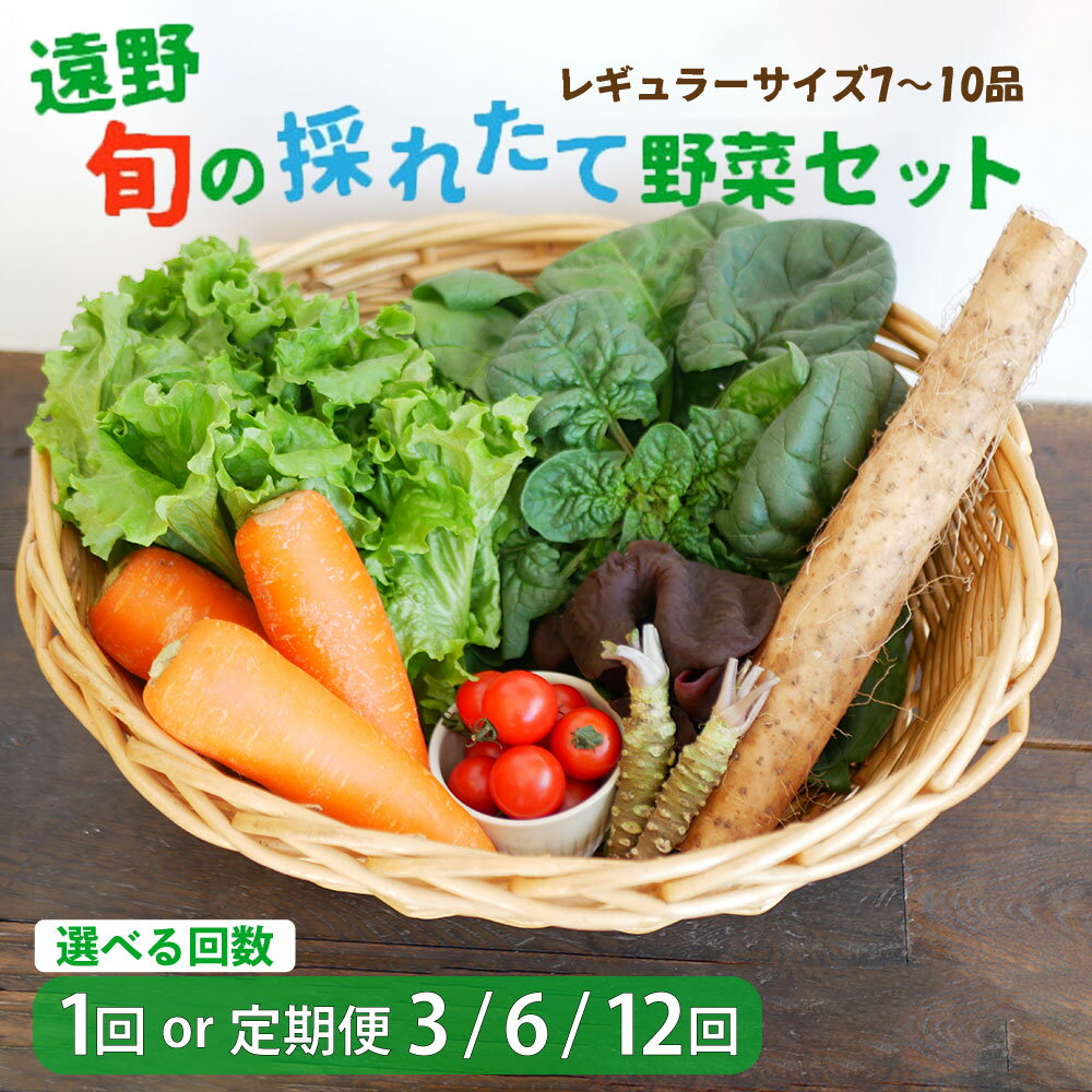 【ふるさと納税】旬の採れたて 野菜セット レギュラー サイズ（7〜10品）選べる回数 お試し 1回 定期便 3・6・12回 こんたでぃーの遠野 岩手県 遠野市 やさい 詰合せ 新鮮 直送 旬 仕送り キャンプ アウトドア バーベキュー BBQ 料理 栄養 家庭 健康 お取り寄せ 送料無料