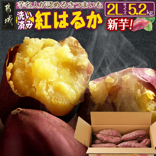 【新芋】芋名人が認めるさつまいも『洗い済み　紅はるか』5.2kg 2Lサイズ ※9月～11月頃順次発送_LE-L703-N