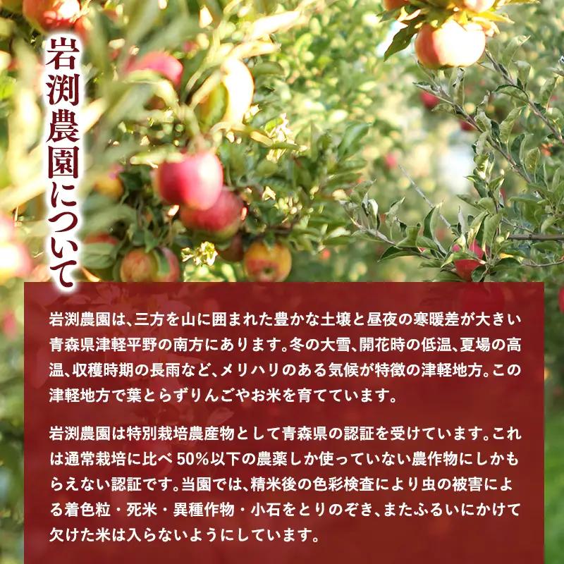 令和8年産 はれわたり白米 5kg