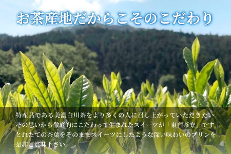 食べるお茶スイーツ 東白茶寮プリン 「和」 6種 6個セット 10000円 一万円