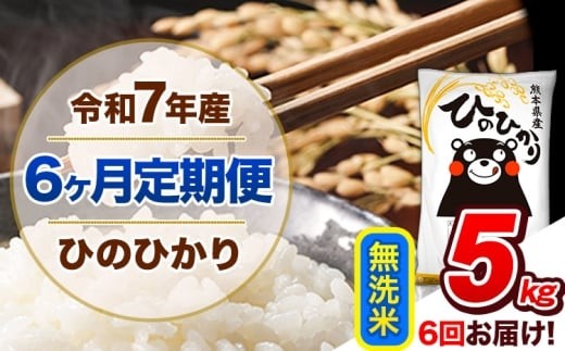【6ヶ月定期便】 令和7年産  定期便 無洗米 ひのひかり 5kg 《お申込み翌月から出荷》令和7年産 熊本県産 ふるさと納税 精米 ひの 米 こめ ふるさとのうぜい ヒノヒカリ コメ 熊本米 ひのもり