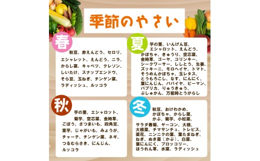 野菜定期便 7品~8品 6ヵ月