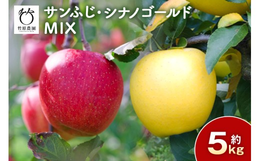 サンふじ・シナノゴールドMIX 5kg 101-0002