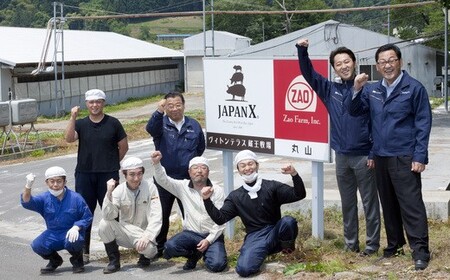JAPAN X ハム・ベーコン＆ソーセージセット/計685g　【04301-0044】