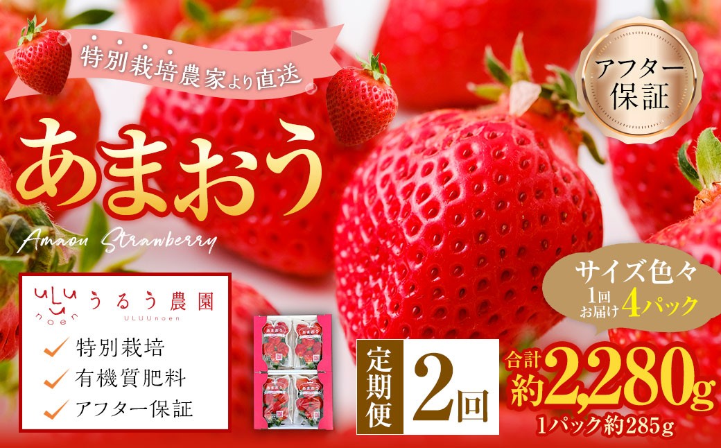【2回定期便】 うるう農園のあまおう サイズ色々4パック （計約1140g） 【2027年3月上旬～4月下旬発送予定】 あまおう いちご 苺 果物 フルーツ 定期便 冷蔵 福岡県 太宰府