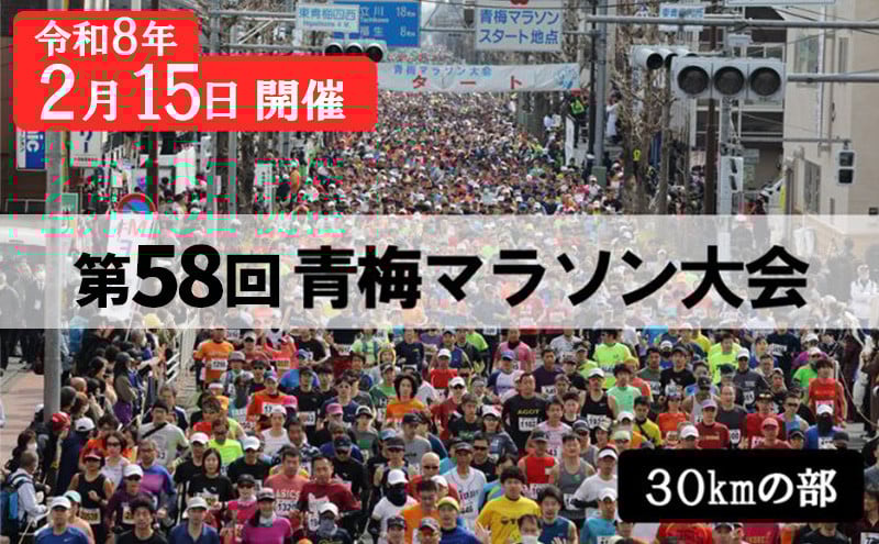 
            マラソン 東京 第58回 青梅マラソン大会 30キロの部 出場権利 （1名分） 体験 出走権 参加券 チケット マラソン大会 スポーツ 先着 多摩川 青梅市 東京都[№5714-0249]
          