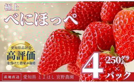 
             極上 紅ほっぺ 計1kg ( 約250g × 4 ) いちご イチゴ 苺 べにほっぺ フルーツ 旬 果物 採れたて ショートケーキ フルーツサンド スイーツ 産地直送 完熟 国産 冷蔵 愛知県 豊橋市
          