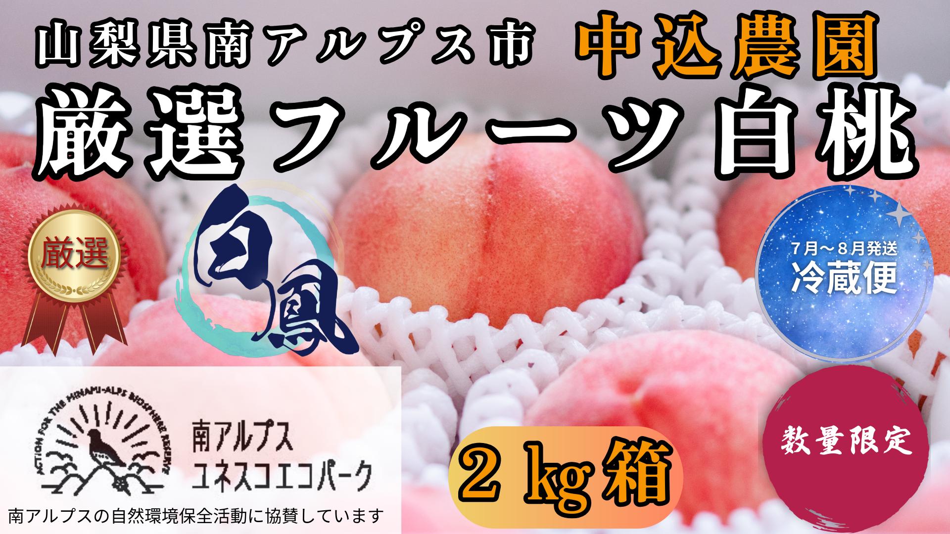 
                  ＜2026年発送先行予約＞ 山梨県南アルプス市産 厳選桃 (白鳳) 2kg ALPEM008
                