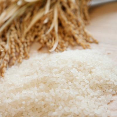 ふるさと納税 阿賀野市 【令和7年産】新潟産 新之助 15kg(5kg×3袋) |  | 01