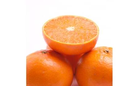 ＜2月より発送＞厳選 せとか 2.5kg+250g（傷み補償分）【柑橘・春みかんの王様】【光センサー選果・食べ頃出荷】 / みかん 果物 くだもの フルーツ 和歌山 わかやま おすすめ 人気 有田みか