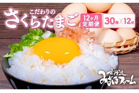 【定期便】 京都 こだわり卵 さくらたまご 30個 × 12ヶ月 ( 卵 たまご 濃い 玉子 セット 玉子焼き 卵焼き 毎月 12か月 定期 12回 お届け 卵かけご飯 ゆで卵 鶏卵 卵黄 ) ※北海道・東北・沖縄・その他離島は配送不可 [076MF001R]