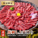 【ふるさと納税】馬刺し 国内肥育 熊本発送 馬刺し 上霜降り（ トロ ） 1kg 馬刺し?油・生姜付き | 熊本県 熊本 くまもと 和水町 なごみ 馬肉