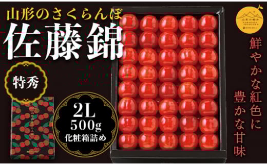 【山形の極み】贈答用 山形県産 さくらんぼ 佐藤錦 500g 特秀 2L 化粧箱詰め 2025年6月中旬から順次発送 F2Y-5175