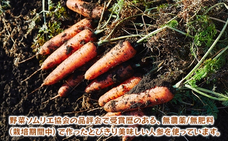 にんじんジュース「からだ　よろこぶ」　1本720ml　12ヶ月定期便 