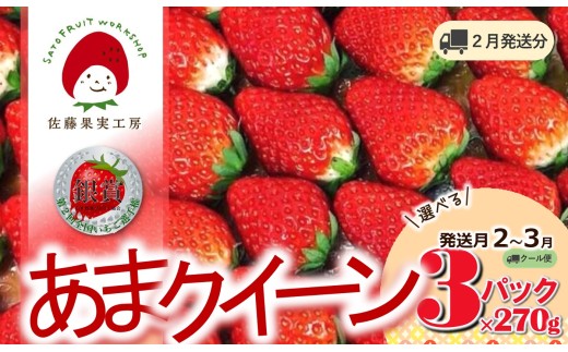 《2026年産先行予約》「西脇市産 佐藤果実工房 あまクイーン」（約270g×３パック 約810g）【佐藤果実工房 全国いちご選手権3年連続上位入賞農園 TVで紹介!】令和８年２月下旬配送分（09-4