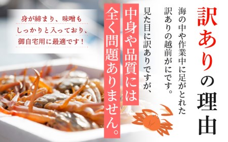 【訳あり】越前がに本場の越前町からお届け！ 越前がに 浜茹で600g～900g前後（※生重量） × 2杯 【1月発送分】 かにの食べ方しおり付き【かに カニ 蟹】【福井県 越前町 雄 ズワイガニ ボイ