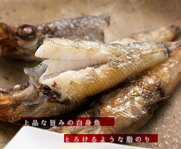 メヒカリ丸干し 900g（300g×3パック） | 脂のり抜群 白身魚 海鮮 干物 おつまみ 焼くだけ簡単 人気 福島県 いわき市 ふるさと納税 | DG029-900g
