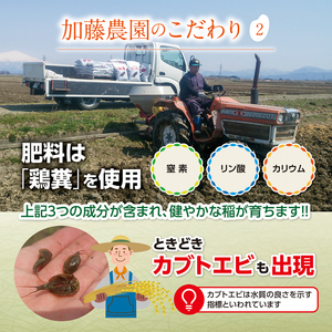 SI0040　【6回定期便】令和7年産 無洗米 特別栽培米 雪若丸　5kg×6回(計30kg)10月下旬発送開始「農家直送」 KA