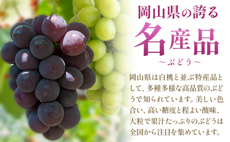 【2027年発送先行予約】【10回定期便】岡山のぶどう 十撰 10種 計7kg【配送不可地域あり】