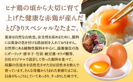 卵 朝採り さくら たまご 90個（Mサイズ）卵 10個破損補償含む 鶏卵 赤鶏の卵