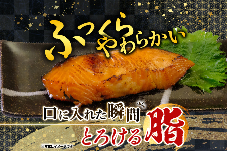 塩銀だら9切＆銀だらみりん漬け9切セット B-09060