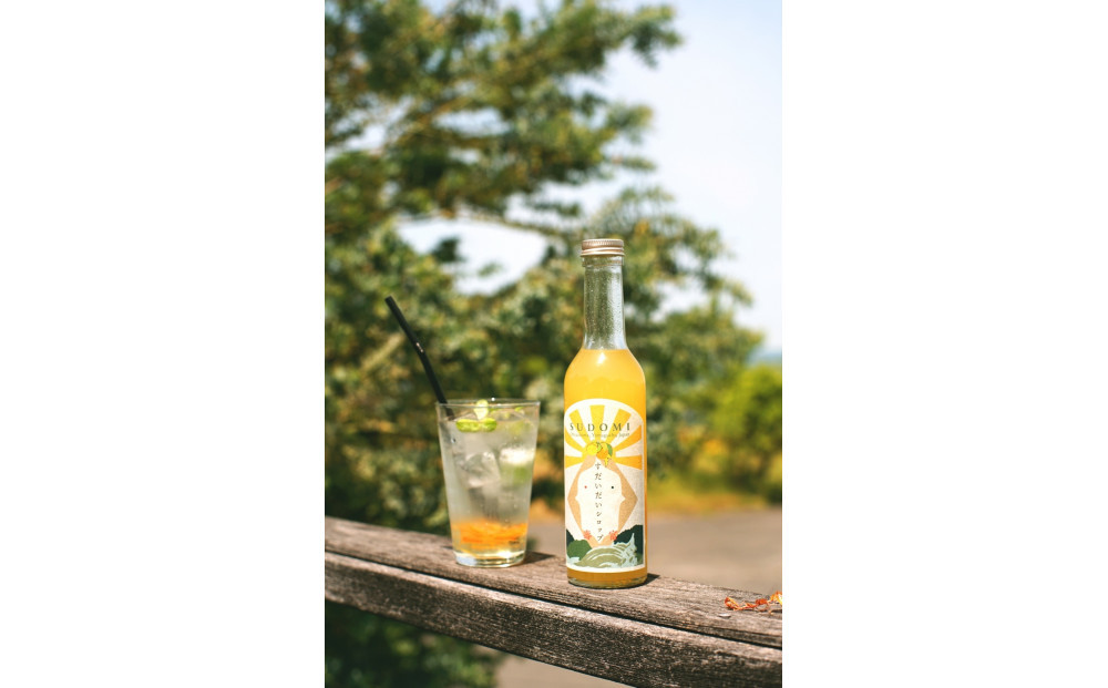 柑橘すだいだいセット2（シロップ2本＆マーマレードジャム1個）　大津島　無添加