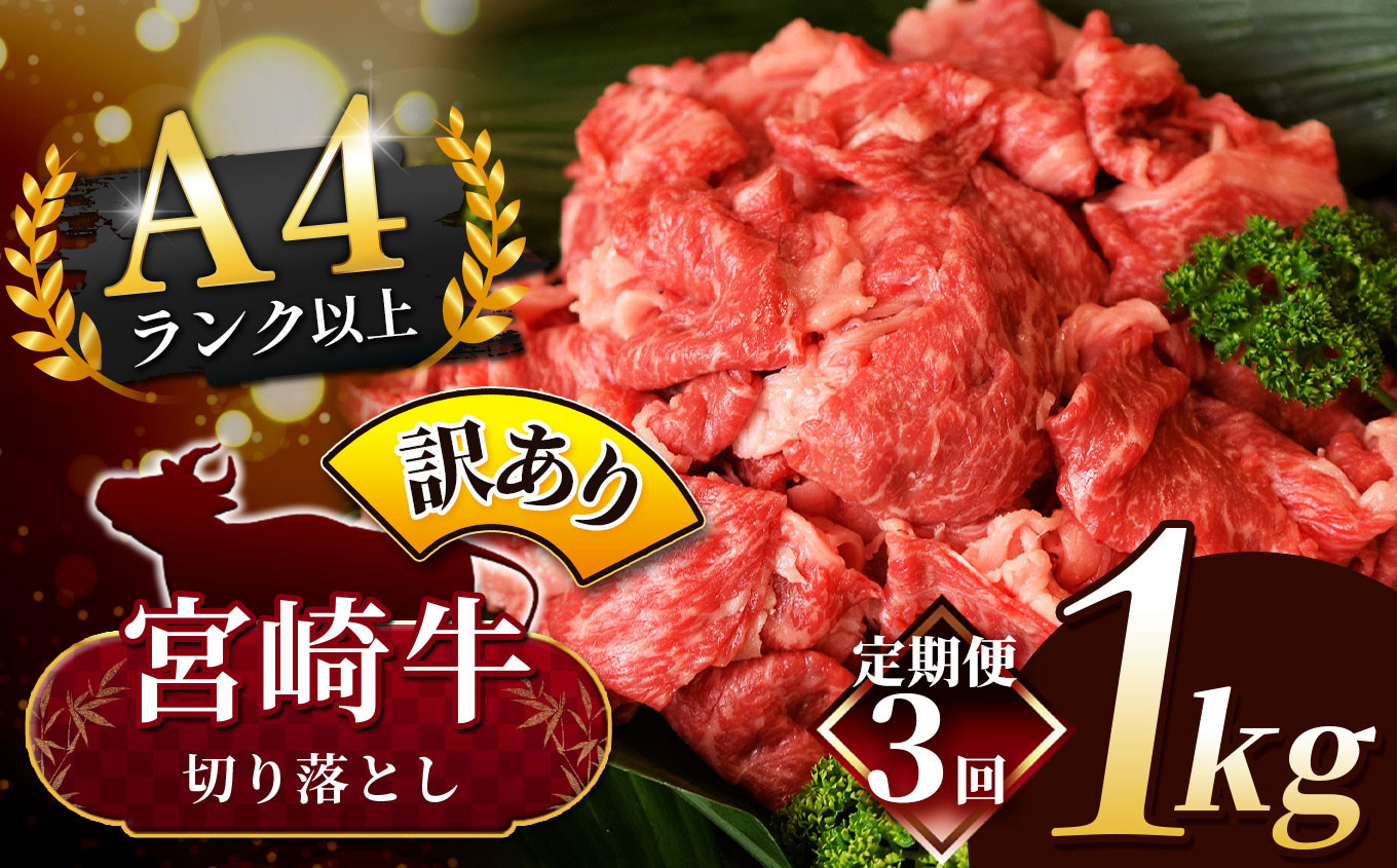 
                  【定期便３回】人気 牛肉  ! A4 - A5 宮崎牛 切り落とし 訳あり 1kg | 小分け 500g × 2 宮崎牛 切り落とし 部位不問 脂身 黒毛和牛 牛肉 肉 にく お肉 スライス 切り落とし 国産 ブランド牛 カレー 牛丼 切り落とし 野菜炒め  宮崎県 五ヶ瀬町 切り落とし 切り落とし
                