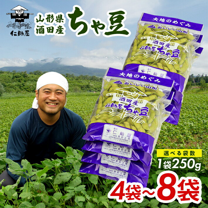 【ふるさと納税】仁助屋 ちゃ豆 1袋あたり250g 選べる数量 4～8袋 山形県酒田産 8月上旬〜9月上旬頃お届け 冷蔵便 ※離島発送・着日指定不可 枝豆 茶豆 小分け パック 東北 山形県 酒田市 庄内地方 夏 野菜