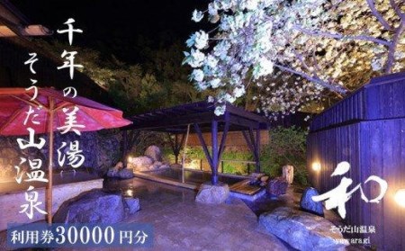 宿泊券 30,000円分 そうだ山温泉 日帰り日帰り日帰り