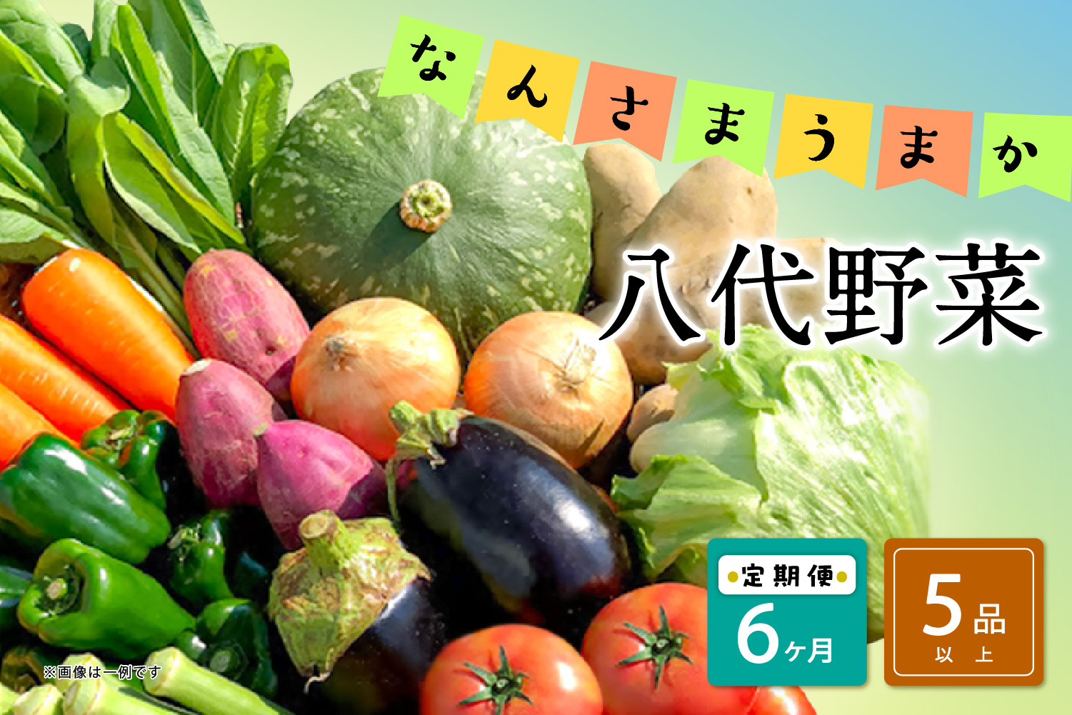 
【定期便6回】なんさまうまか八代野菜セット 5品以上 やさい 詰め合わせ 熊本県産
